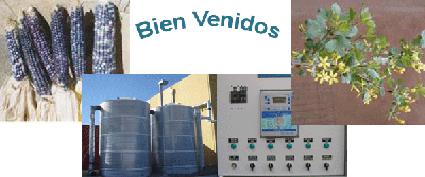 bienvenidos image